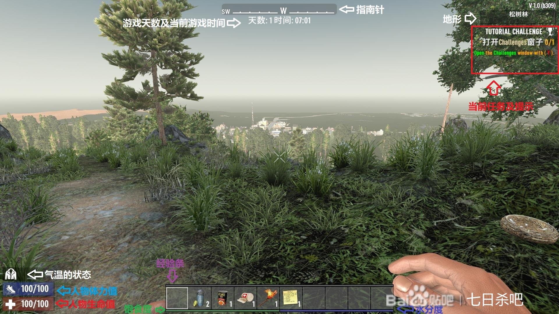 巫师3：狂猎 完整版 截图12